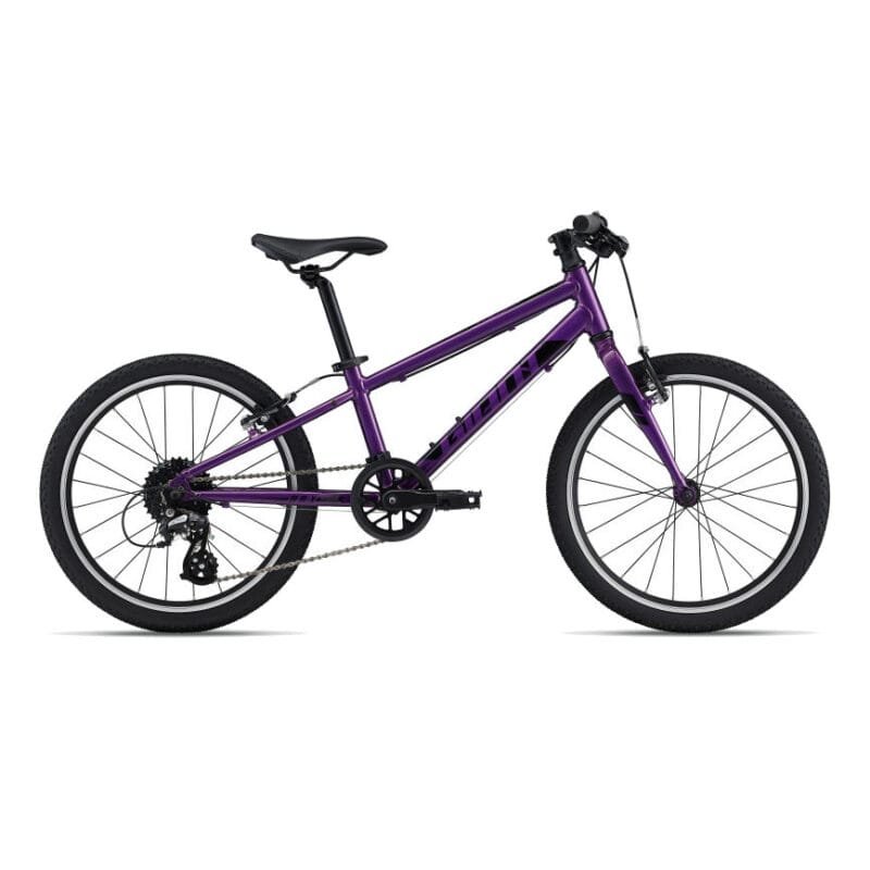 Giant ARX 20 Vélo Enfant - purple